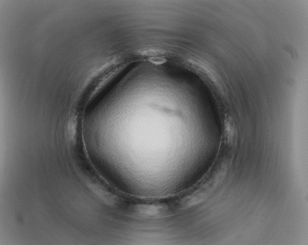 X0000113880404200910081751