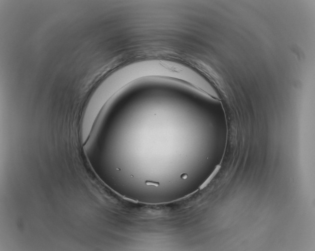 X0000113880405200910081751