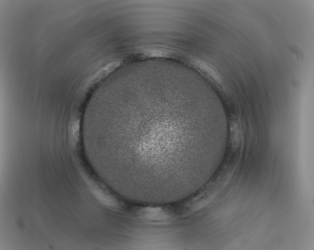 X0000113880406200910081751