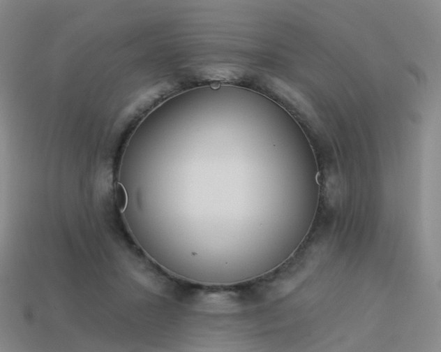 X0000113880407200910081751