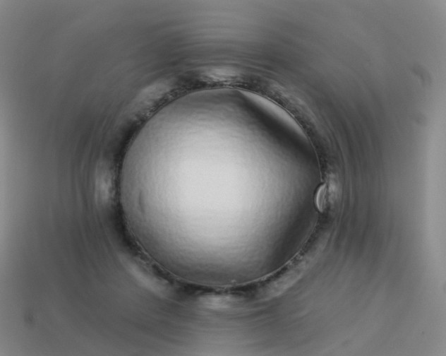 X0000113880408200910081751