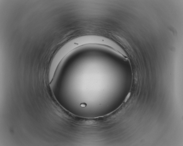 X0000113880409200910081751