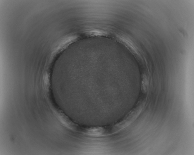 X0000113880410200910081751