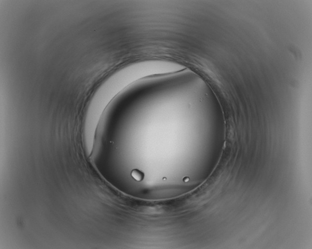 X0000113880411200910081751