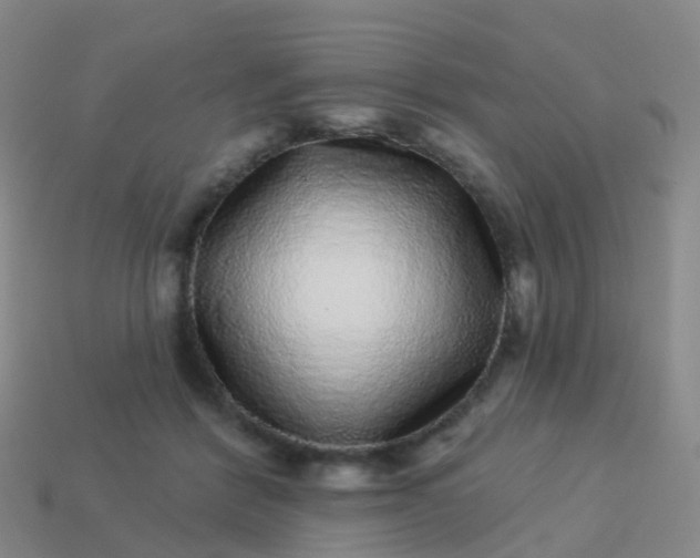 X0000113880412200910081751