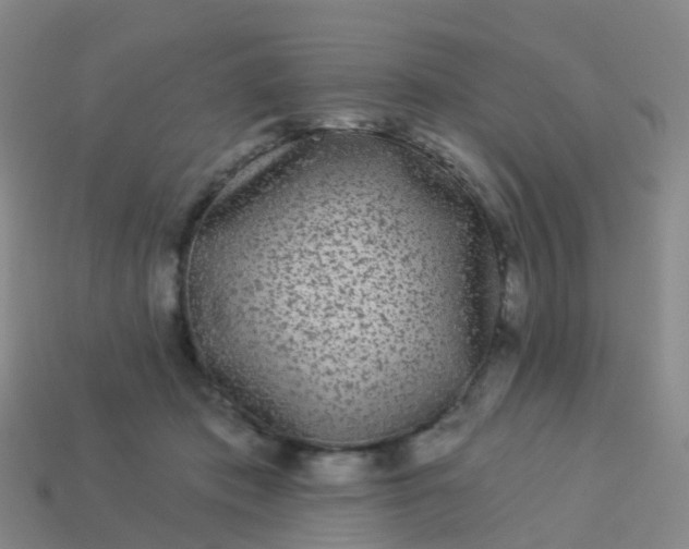 X0000113880413200910081751