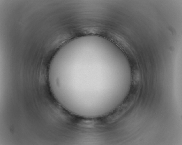 X0000113880414200910081751