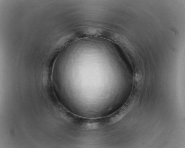 X0000113880416200910081751