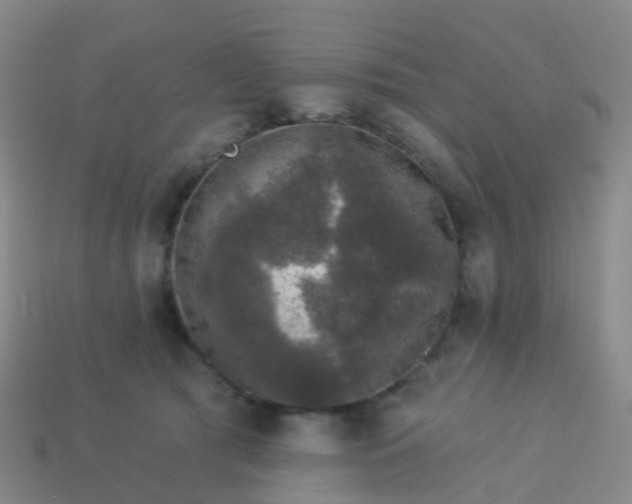 X0000113880417200910081751