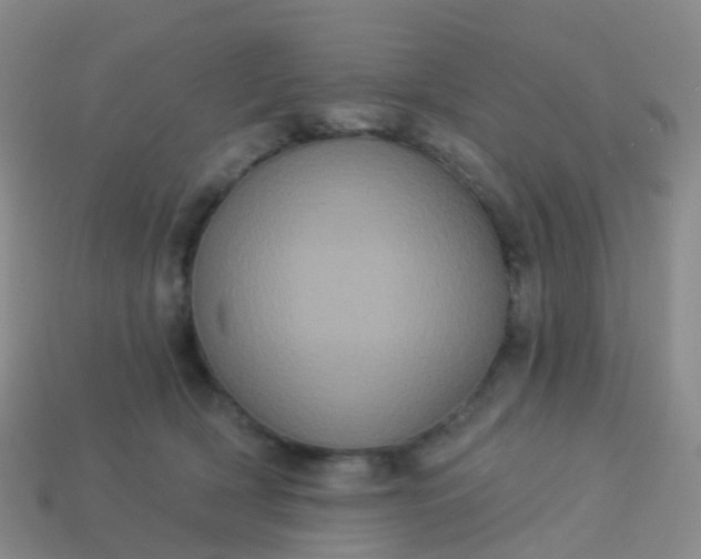 X0000113880418200910081751