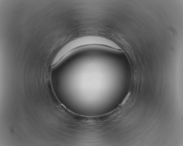 X0000113880419200910081751