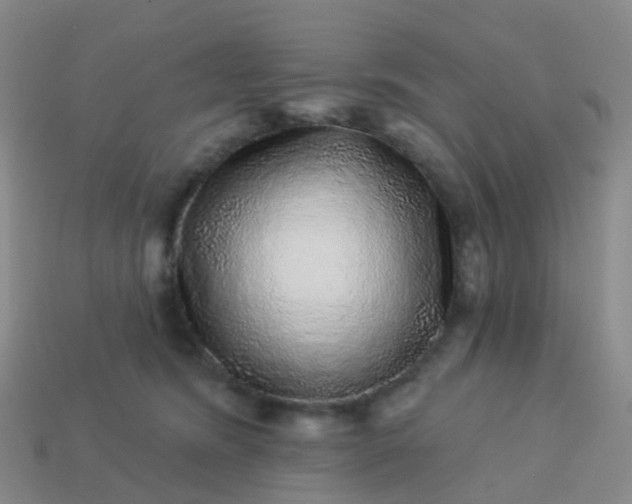 X0000113880420200910081750