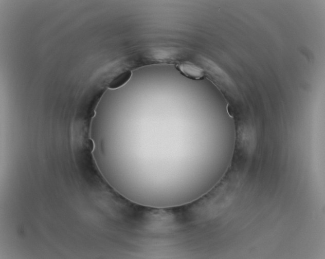 X0000113880421200910081750