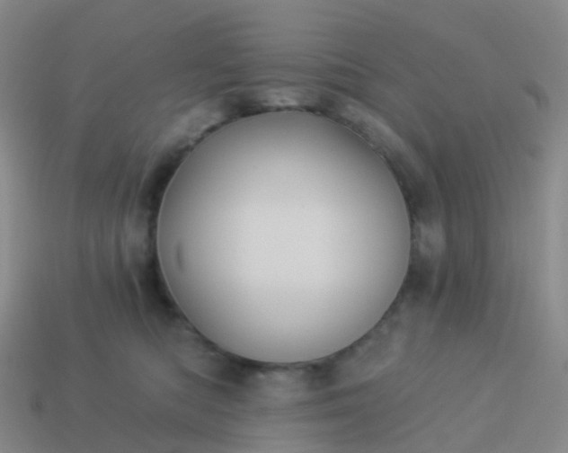 X0000113880422200910081750