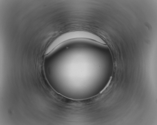 X0000113880423200910081750