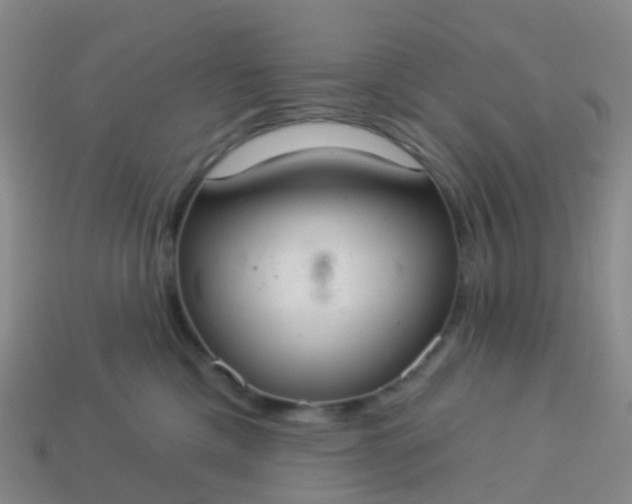 X0000113880425200910081750