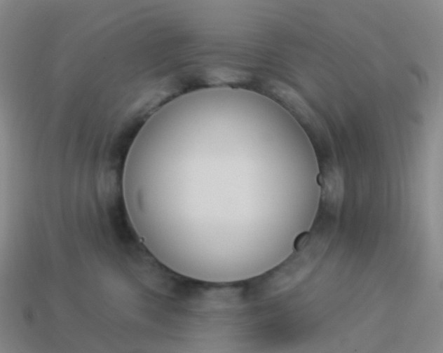 X0000113880426200910081750