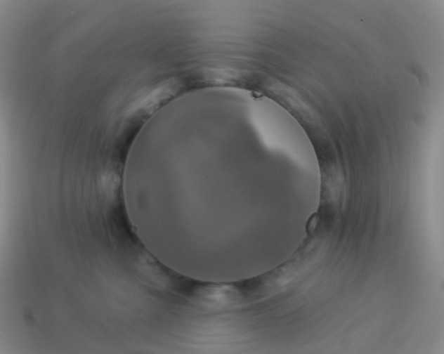 X0000113880427200910081750