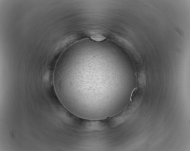 X0000113880428200910081750