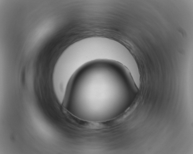 X0000113880429200910081750