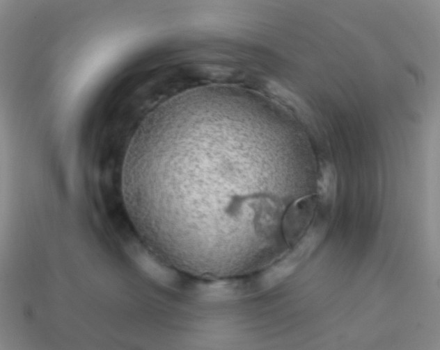 X0000113880430200910081750