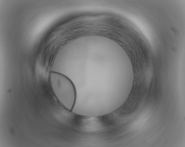 X0000113880431200910081750