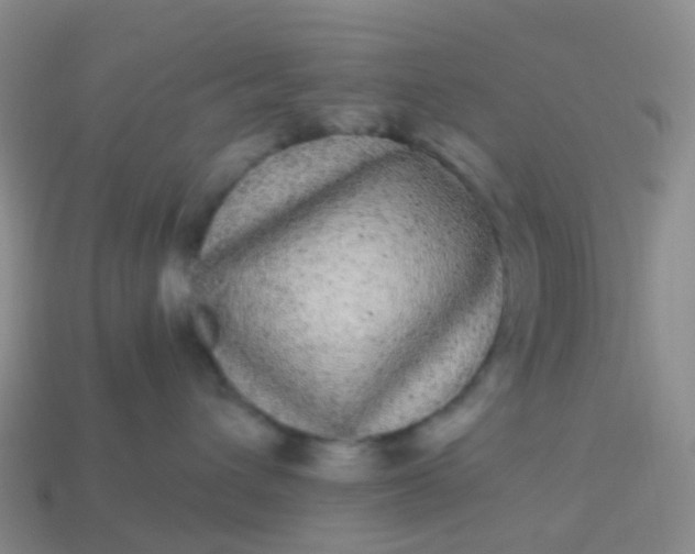 X0000113880432200910081750