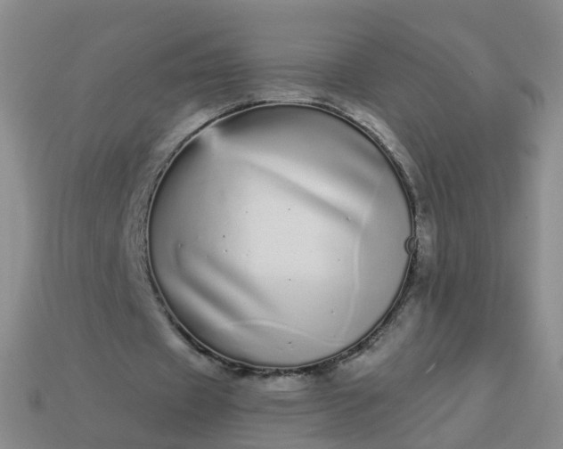 X0000113880433200910081750