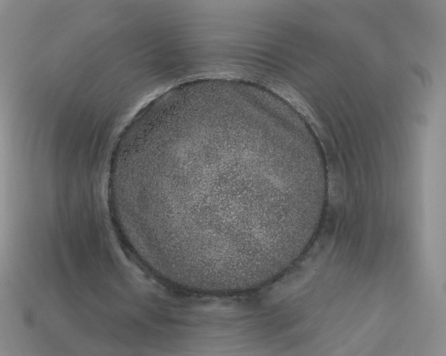 X0000113880434200910081750