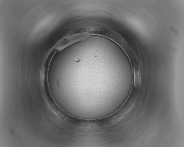 X0000113880435200910081750