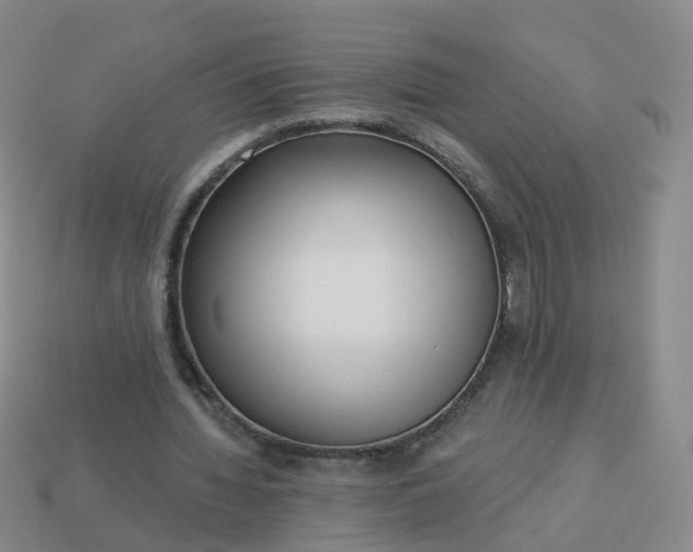 X0000113880436200910081750