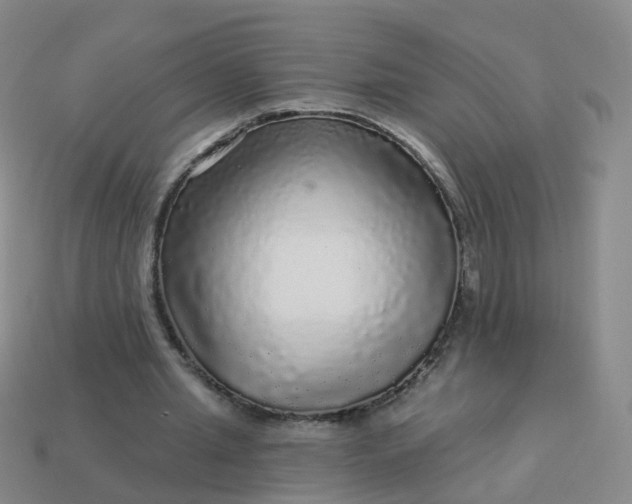 X0000113880437200910081750