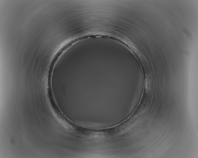 X0000113880438200910081750