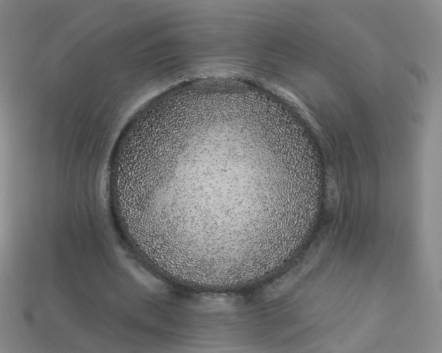 X0000113880439200910081750