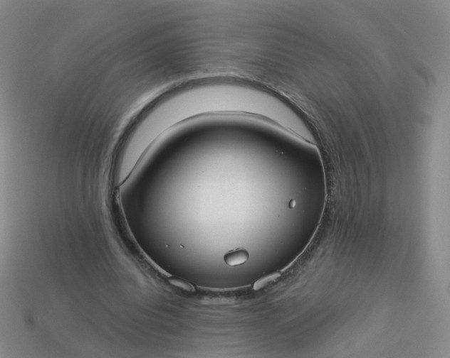 X0000113880440200910081750