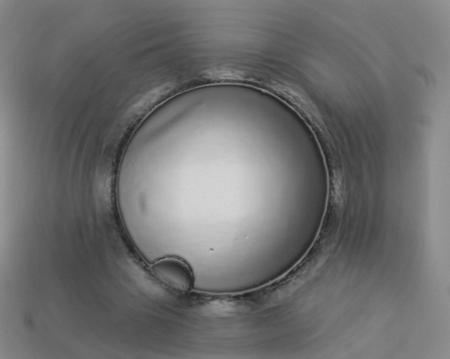 X0000113880441200910081750