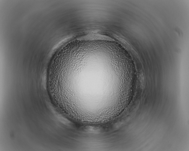 X0000113880442200910081750