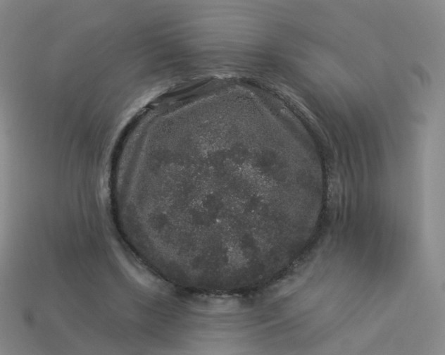 X0000113880443200910081750