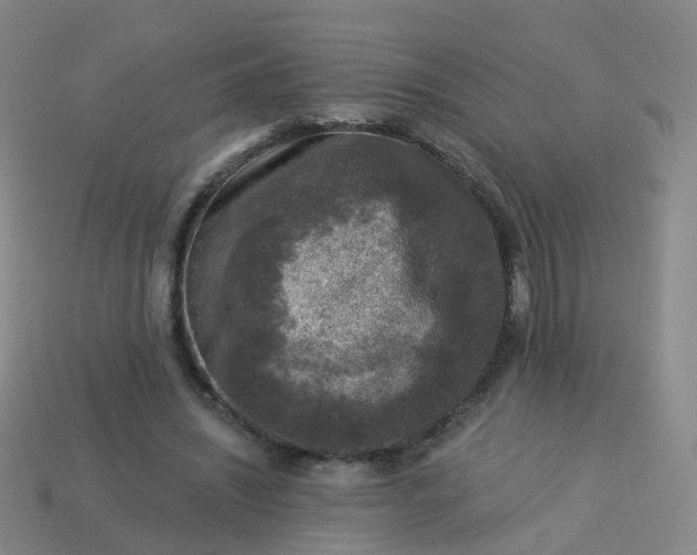 X0000113880444200910081750