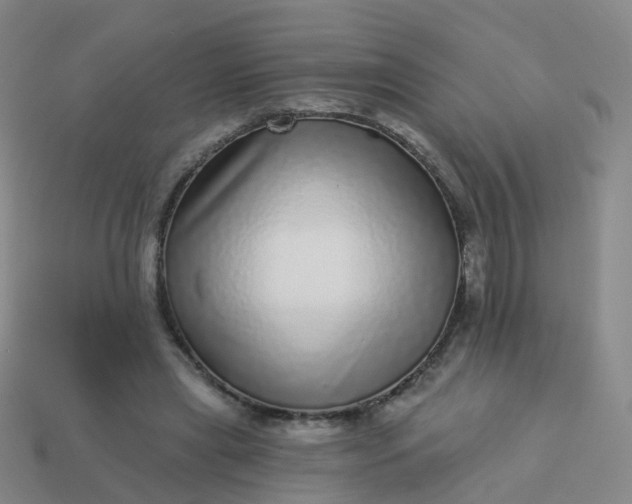 X0000113880445200910081750