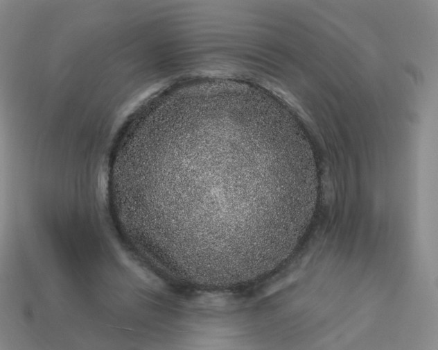 X0000113880446200910081750