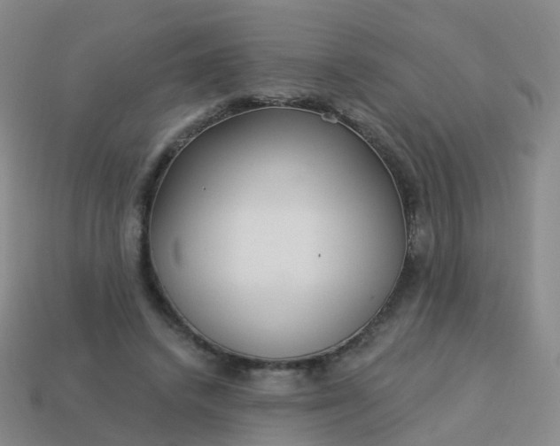 X0000113880448200910081750