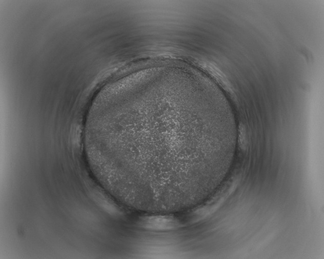 X0000113880449200910081750