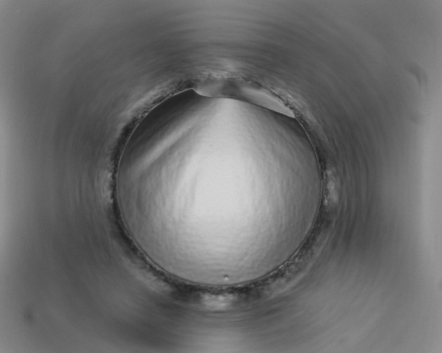 X0000113880450200910081750