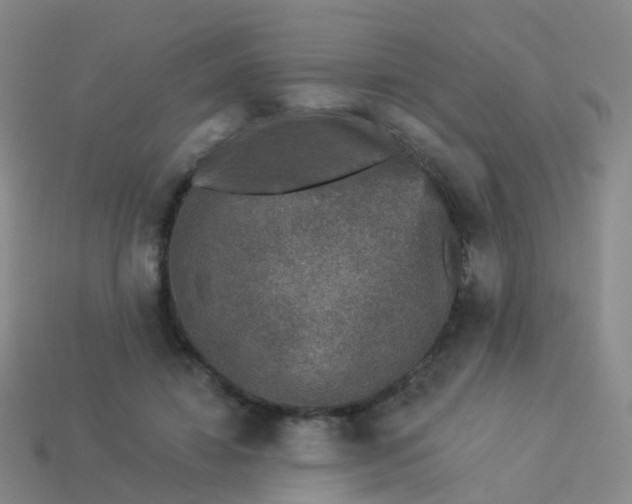 X0000113880452200910081750