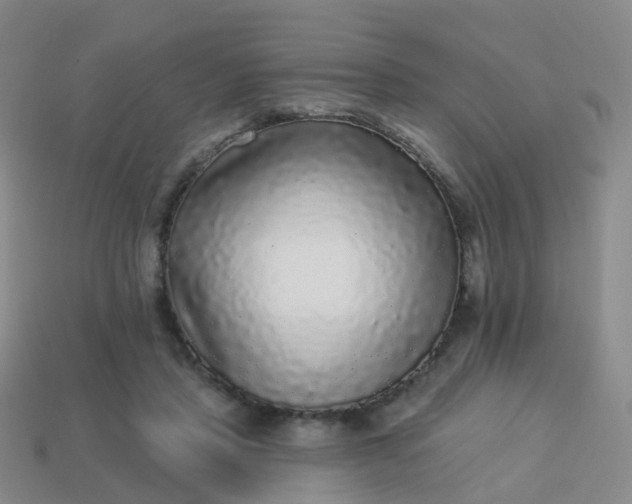 X0000113880453200910081750