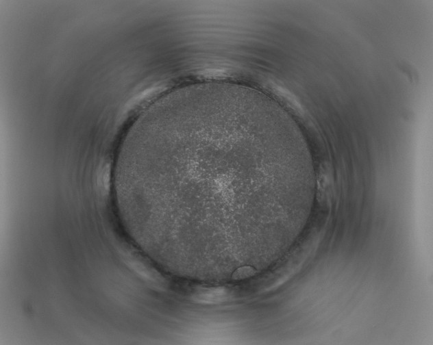 X0000113880454200910081750