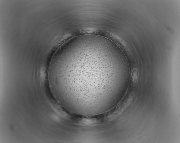 X0000113880455200910081750