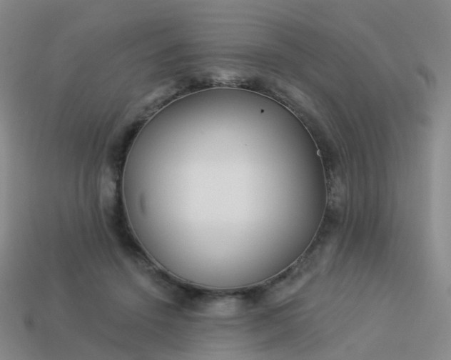 X0000113880456200910081750