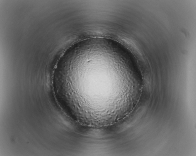 X0000113880457200910081750